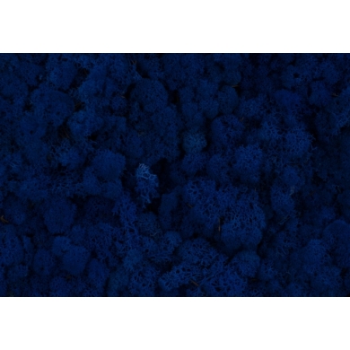 Mech Chrobotek Reniferowy (26. Azur Blue) 5 kg